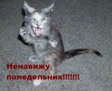 Таня Корнійчук фотография #8 (источник - https://vk.com/id120413573)