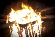 Дмитрий Алексеев фотография #27 (источник - https://vk.com/id488410)