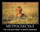 Фотография Успенского Сергея