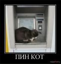 Андрій Сидлярук фотография #10 (источник - https://vk.com/id97035680)