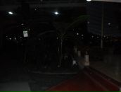 Марія Ганущак фотография #42 (источник - https://vk.com/id37388041)