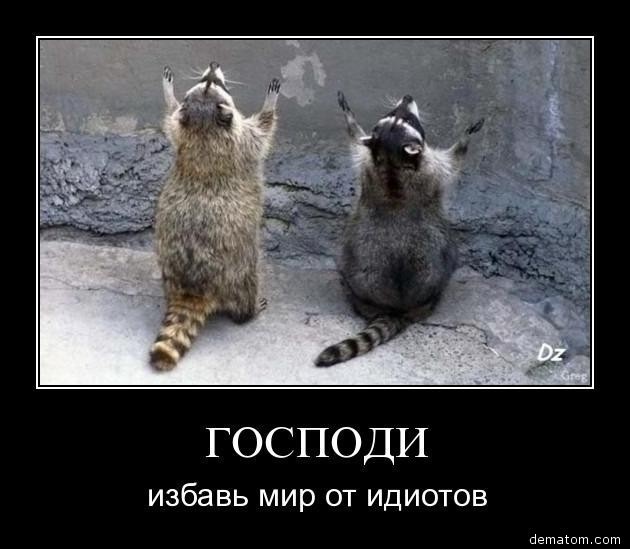 Rome Petrow фотография #16