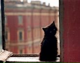 Фотография Беляниной Ксении