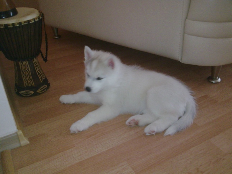 Дмитрий Мямин фотография #39