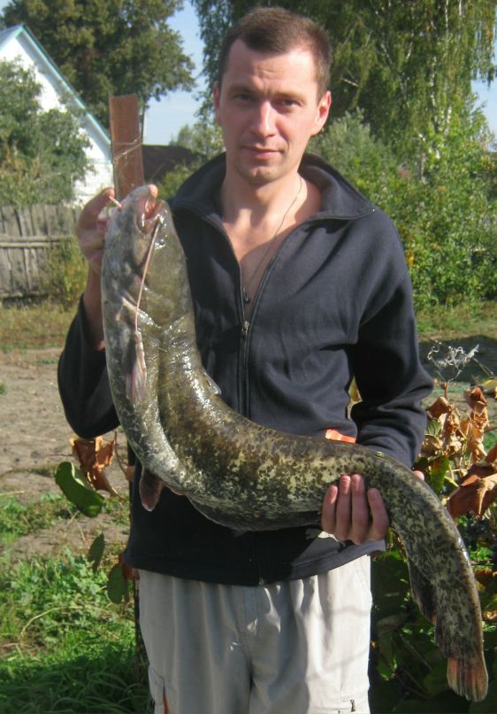 Дмитрий Черепанов фотография #6