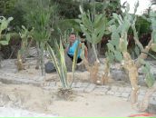 Фотография Шапалиной Маши