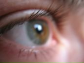 Фотография Бортникова Андрея