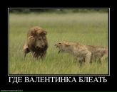 Фотография Шмидта Бориса