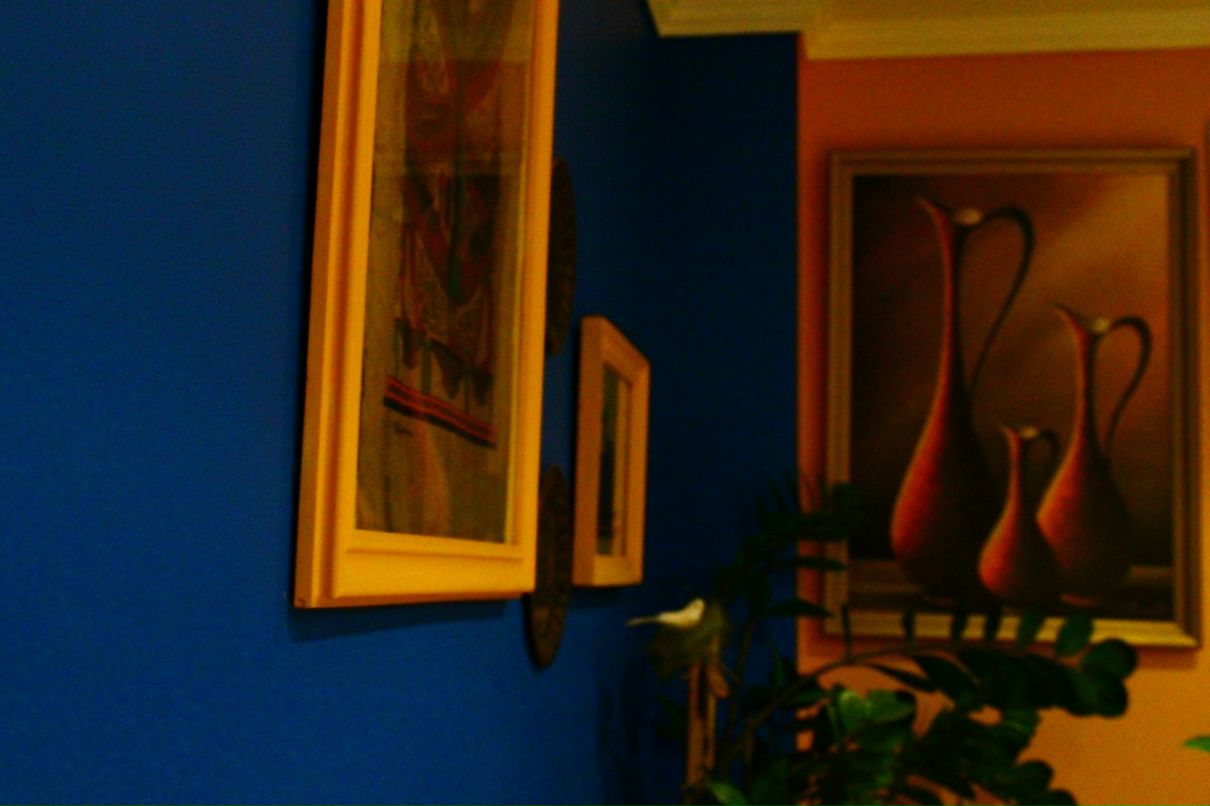 Илья Черников фотография #29