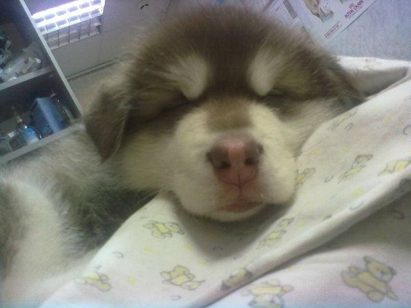 Александр Автаев фотография #2