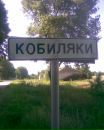 Віталік Довгань фотография #36 (источник - https://vk.com/id115921417)