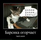 Фотография Семенова Артема