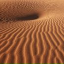 Фотография Шведовского Олега