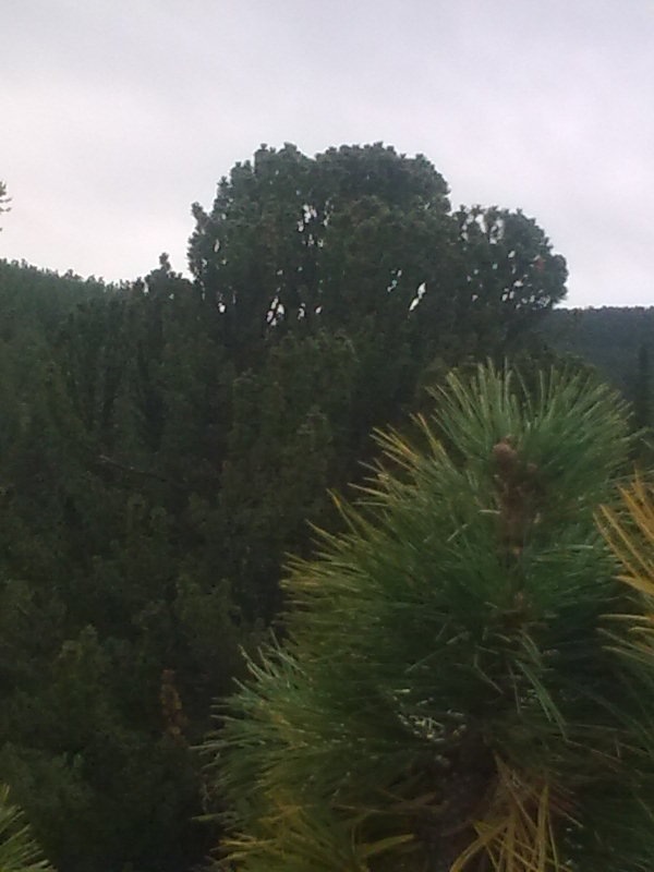 Сергей Плугарь фотография #23