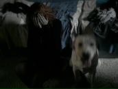 Фотография Закировой Екатерины