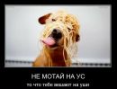 Діма Прокопчук фотография #47 (источник - https://vk.com/id127521186)