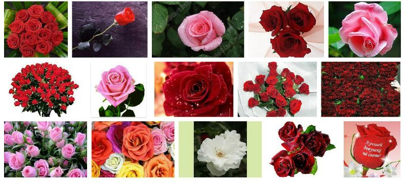 Сергей Маноле фотография #43