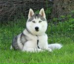 Фотография Сергеевой Лейсан