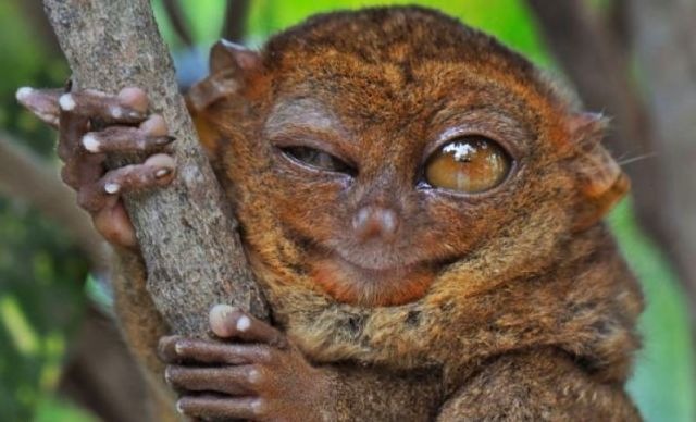 Дмитрий Никитин фотография #26