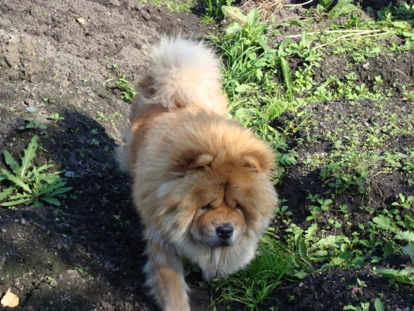 Виктор Башкин фотография #37