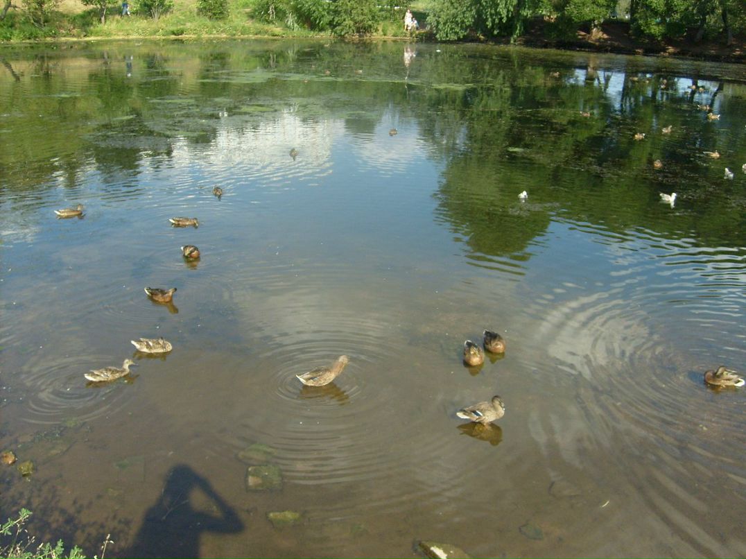 Ольга Гусева фотография #22