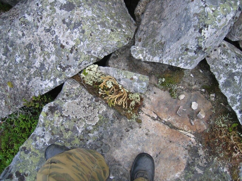 Иван Паньков фотография #12