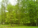 Танюфка Йолтухівська фотография #6 (источник - https://vk.com/id78222279)