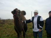 Фотография  