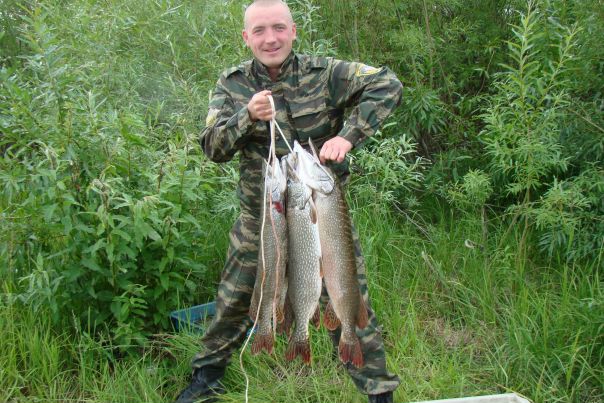 №3, Сергей Иванов, Владимир №3, Сергей Иванов, Владимир