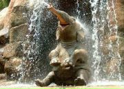 Witch Only фотография #15 (источник - https://vk.com/id2072397)