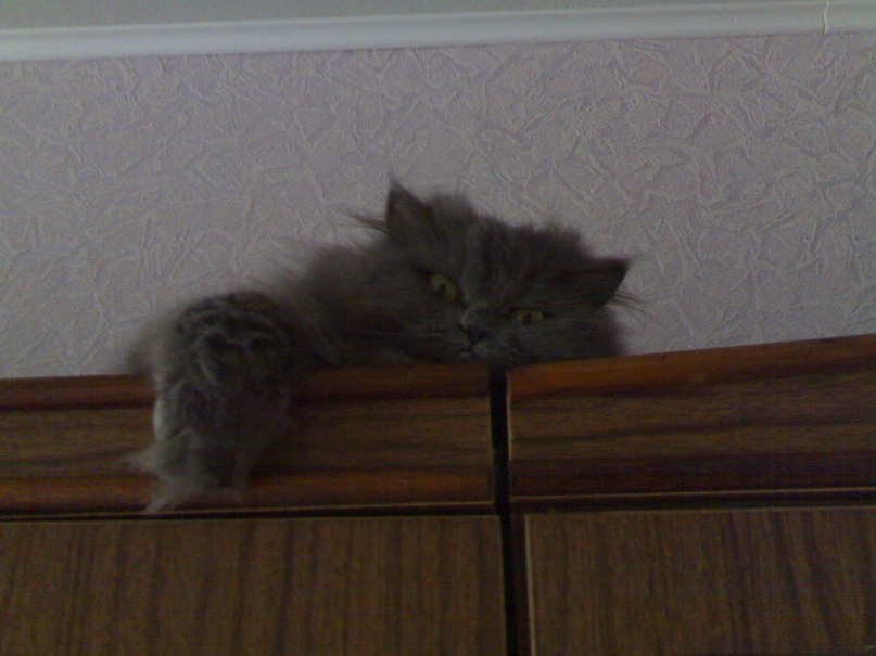 Иван Дедков фотография #28