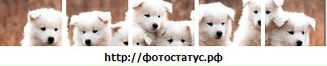 Річік Борцов фотография #15 (источник - https://vk.com/id27088146)