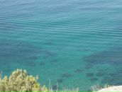 Богдан Зарічинський фотография #22 (источник - https://vk.com/id85218238)