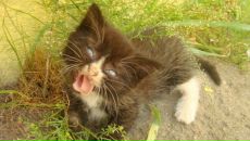 Фотография Масловой Натальи