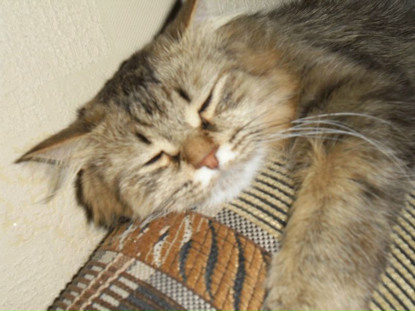 Женя Дмитриев фотография #32