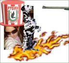 Коля Руднік фотография #10 (источник - https://vk.com/id96107235)