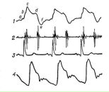 Фотография Oparin Roman