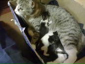 Дмитрий Бункин фотография #40 (источник - https://vk.com/id44326398)