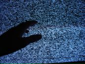 Ірочка Лысецька фотография #2 (источник - https://vk.com/id40734980)