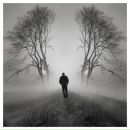 Даниил Беляев фотография #30 (источник - https://vk.com/id5658770)