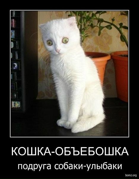 Катя Папари фото №1
