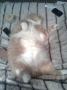 Тимошик =^.^= фотография #1