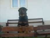 Ольга Денега фотография #28 (источник - https://vk.com/id112954689)