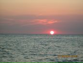 Фотография Шевчик Ирины