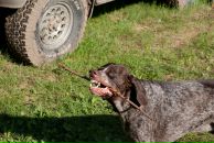 Павел Волк фотография #32 (источник - https://vk.com/id470503)