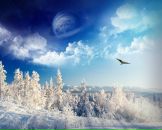 Фотография Ефремовой Али