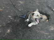 Фотография Блатнер Татьяны