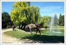 Віка Шпак-Бурковська фотография #22 (источник - https://vk.com/id132794058)