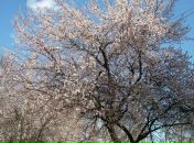 Сергей Моряхин фотография #50 (источник - https://vk.com/id21396)