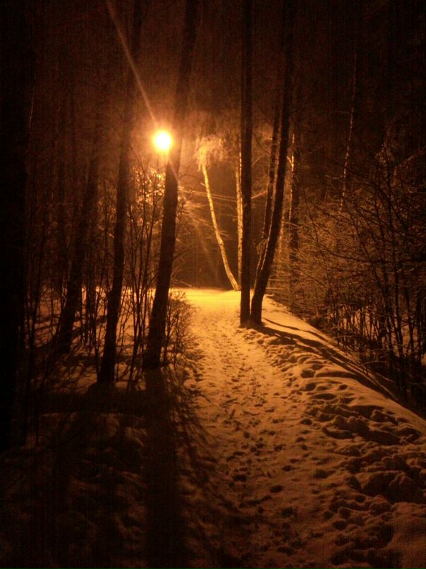 Мак Шейн фотография #19